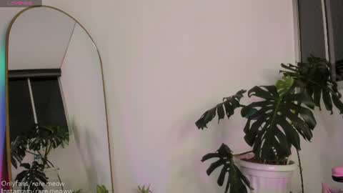 Snapshot of uryko_yor chatting on August 1, 1:27 am online show from August 1, 1:27 am