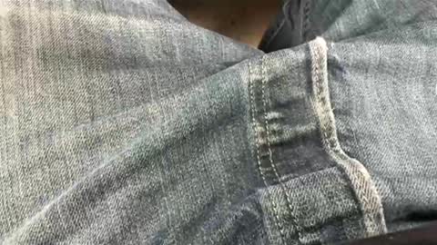 usabound online show from May 2, 11:48 am