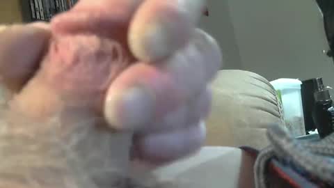 lookin for free fun online show from February 19, 8:31 pm