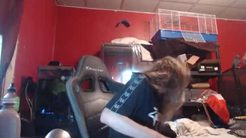 Snapshot of ustogetherliveee chatting on November 12, 6:03 am ustogetherliveee online show from November 12, 6:03 am