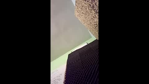 Snapshot of v3403454 chatting on December 16, 11:54 pm v3403454 online show from December 16, 11:54 pm