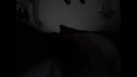 Snapshot of valeria06 chatting on February 15, 6:55 am Valeria online show from February 15, 6:55 am