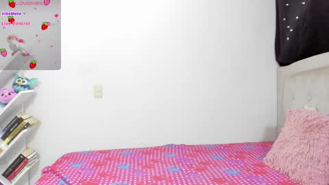 Snapshot of valerymind chatting on December 30, 2:20 am Valery Min online show from December 30, 2:20 am