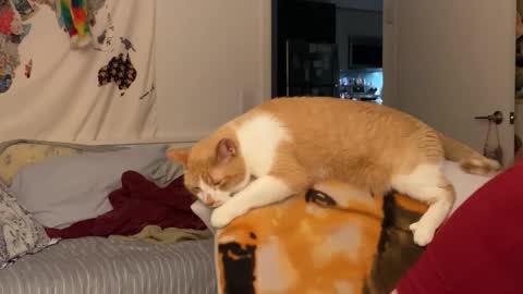 Snapshot of vanessapark chatting on December 15, 2:05 am Vanessa online show from December 15, 2:05 am