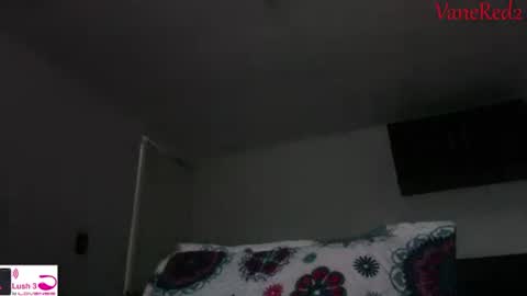 Snapshot of vanessared2 chatting on September 14, 10:53 pm Vanesared2 online show from September 14, 10:53 pm