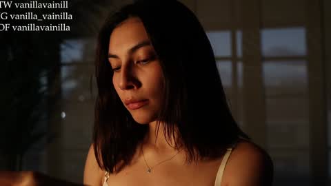 Snapshot of vanilla_velvet chatting on January 30, 11:02 pm Annabet online show from January 30, 11:02 pm