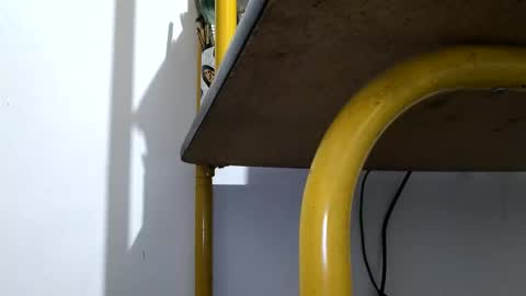 Snapshot of vasaryus chatting on March 4, 12:07 am vasaryus online show from March 4, 12:07 am