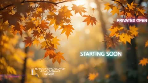 vegas_romance online show from September 30, 2:16 am