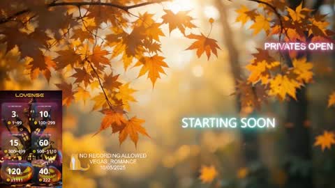 vegas_romance online show from October 6, 12:19 am