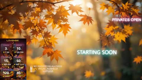 vegas_romance online show from October 8, 1:36 am