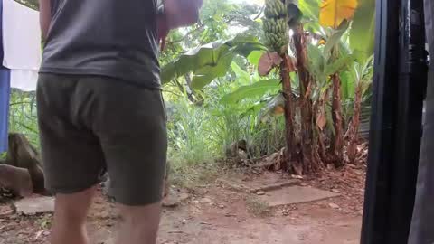 venus ... zeus sheer  online show from January 20, 1:11 pm