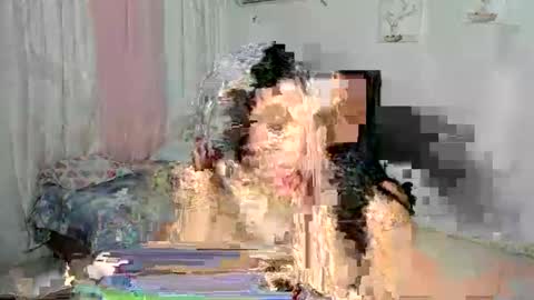 venus online show from November 30, 2:04 am