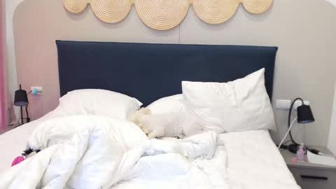 Violetta  online show from December 2, 3:23 am