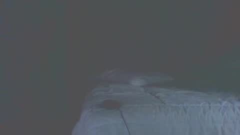 vergagolosa22 online show from November 20, 7:02 pm