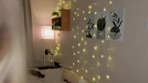 Snapshot of verocat chatting on December 14, 8:24 pm Veronica online show from December 14, 8:24 pm