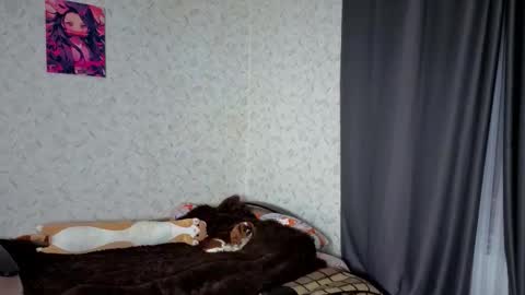 Snapshot of verocat chatting on March 4, 9:10 pm Veronica online show from March 4, 9:10 pm