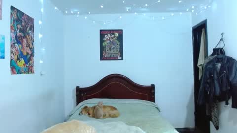 Veronica online show from October 25, 5:26 am