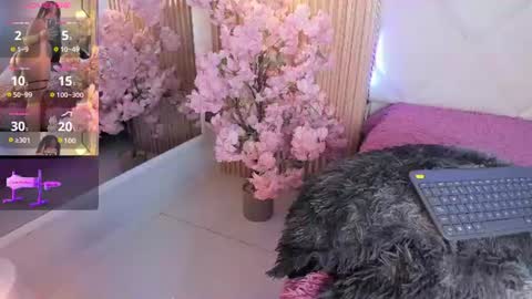 Snapshot of veronica_hill_ chatting on June 18, 3:18 am veronica_hill_ online show from June 18, 3:18 am