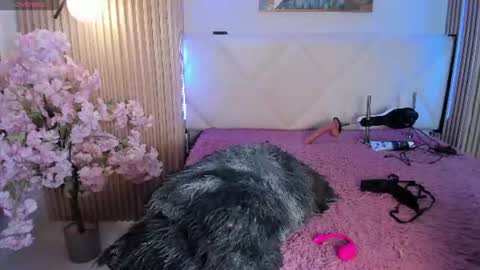 Snapshot of veronica_hill_ chatting on July 29, 3:15 am veronica_hill_ online show from July 29, 3:15 am