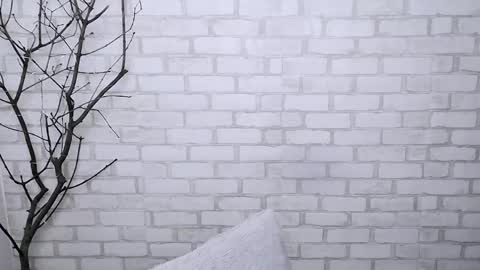 Ana online show from March 6, 11:25 am