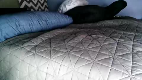 Vexnew online show from November 2, 8:00 pm