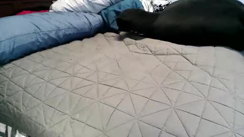 Vexnew online show from November 4, 6:51 pm