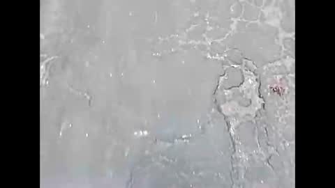 viciouzz1 online show from November 24, 7:02 pm