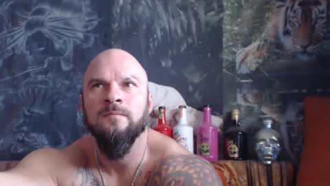 viking online show from November 20, 7:19 am