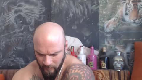 viking online show from November 24, 7:08 am