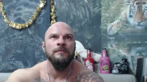 viking online show from February 27, 7:14 pm