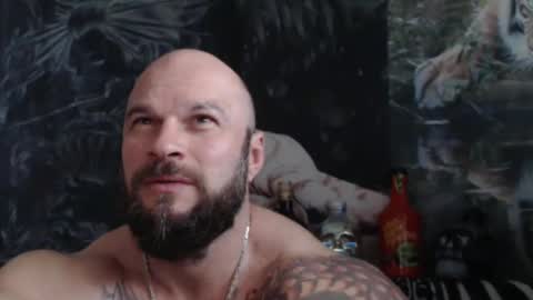 viking online show from May 2, 10:31 am