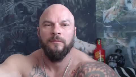 viking online show from May 20, 6:08 am