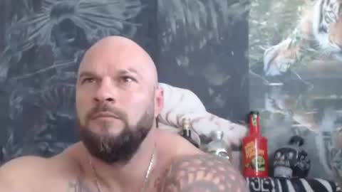 viking online show from June 2, 6:37 am