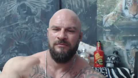 viking online show from June 11, 6:06 pm