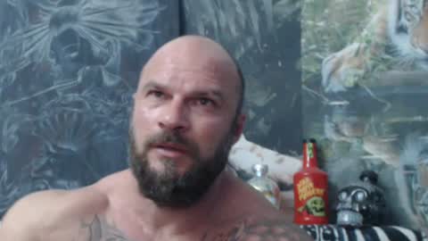viking online show from June 21, 6:10 pm