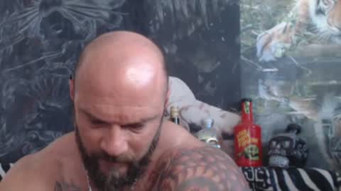 viking online show from June 22, 6:32 am