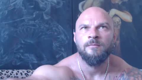 viking online show from June 28, 6:41 am