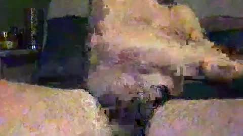 Vinny online show from May 1, 7:46 am