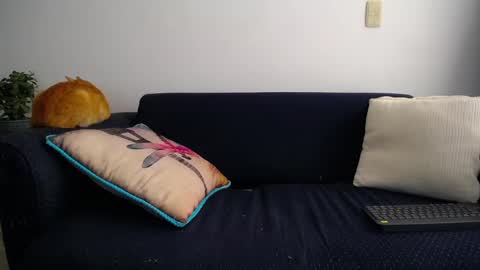 Violeta Gmez online show from March 11, 8:53 pm