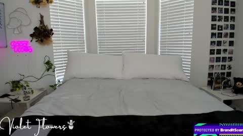 Violet Flowers online show from September 8, 5:12 pm