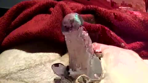 Snapshot of virtual_hand_player chatting on January 31, 6:36 pm virtual_hand_player online show from January 31, 6:36 pm