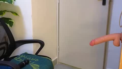 Snapshot of vishy408614 chatting on February 11, 4:11 am Ashley online show from February 11, 4:11 am