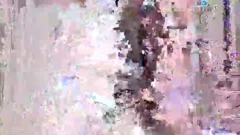 vitto_hammer5758 online show from February 21, 9:49 pm