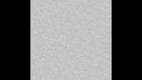 Vivian online show from October 3, 11:18 am