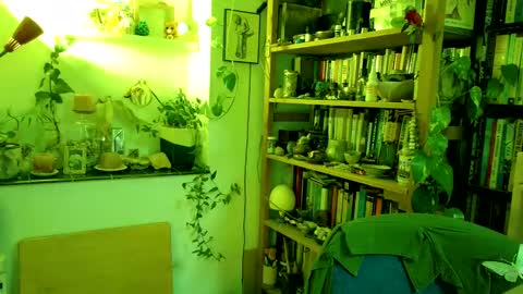 Snapshot of vivid_ether chatting on March 2, 4:10 pm Viv online show from March 2, 4:10 pm