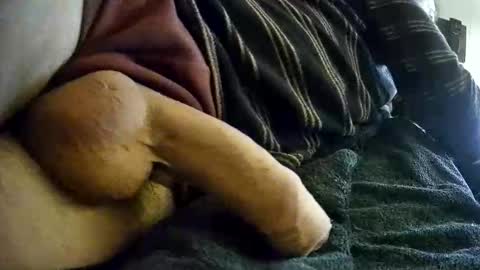 vleeslollie2024 online show from January 10, 7:14 am