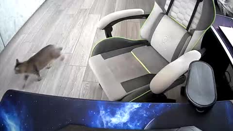 Vonn online show from October 21, 6:47 am