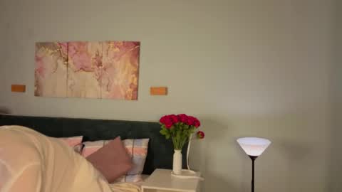 Snapshot of vonen_ray chatting on May 27, 9:50 am Vonen online show from May 27, 9:50 am
