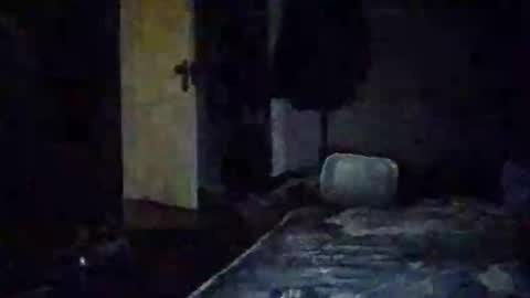 Walter online show from November 14, 10:58 am