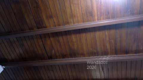 Wanda online show from August 1, 12:26 pm